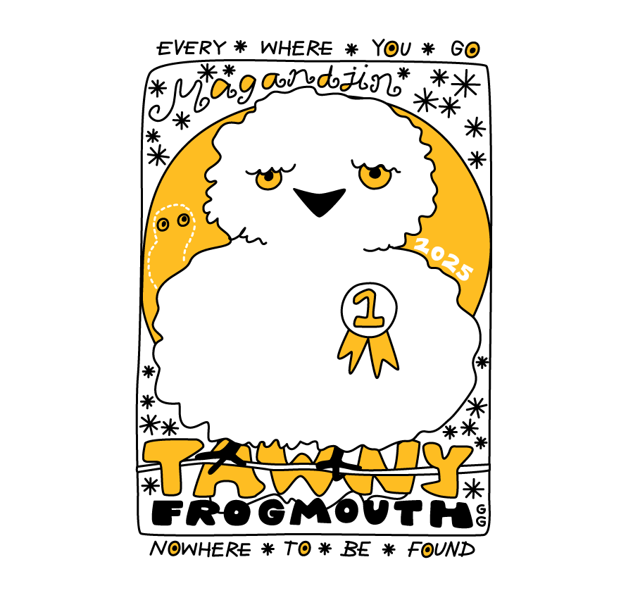 Magandjin Tawny Frogmouth